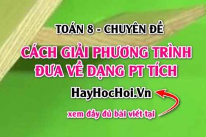Cách giải phương trình đưa được về dạng phương trình tích và bài tập - Toán 8 chuyên đề